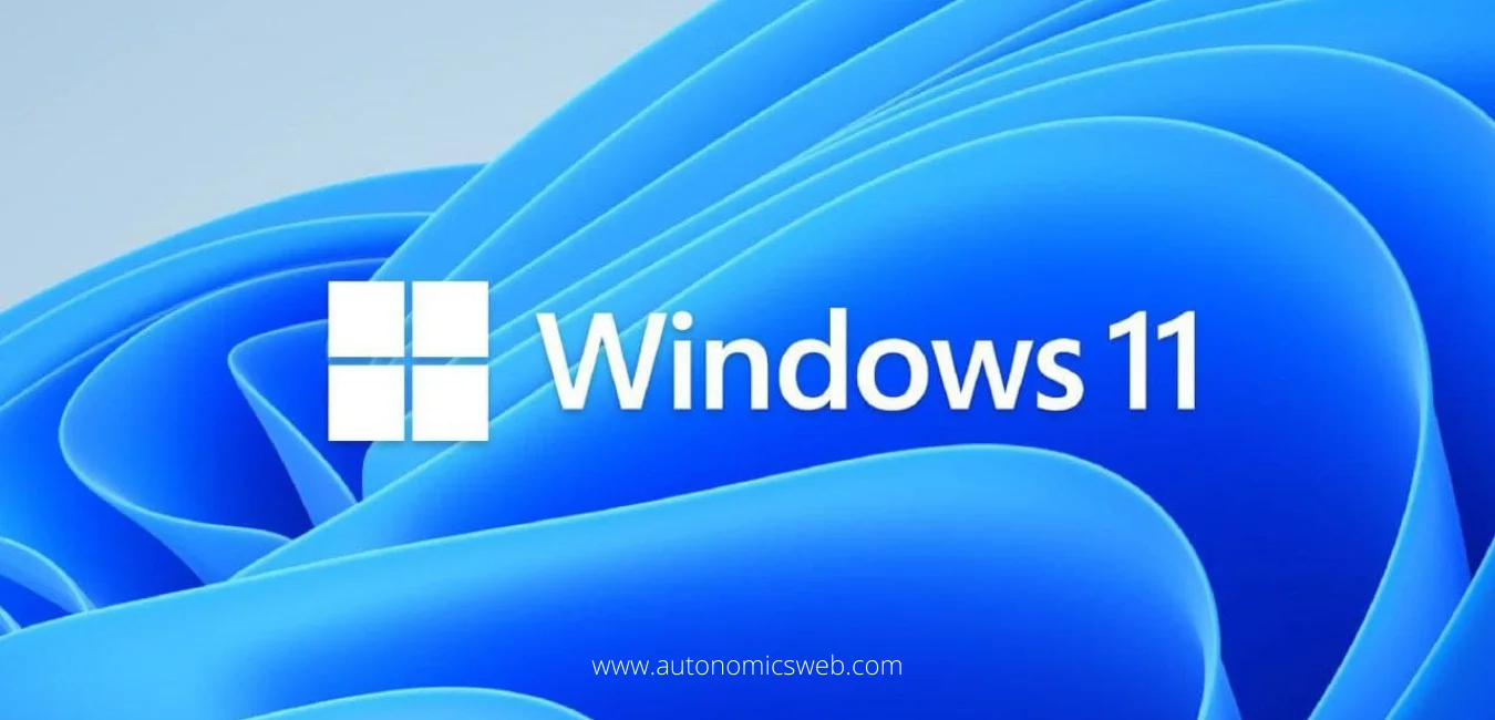 Windows 11