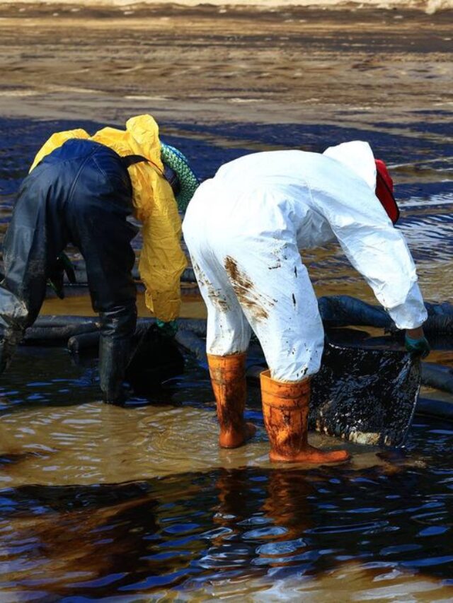 Scientists invent super foam that can kill bacteria and soak up oil spills
